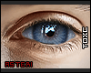 Tx. AsterI Eyes RQ