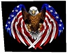Eaagle n USA Flag
