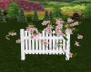 (S)Fence w Clematis