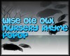 AO~Wise Ole Owl Popup