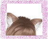 light brown cat ears