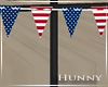 H. 4th of July Banner