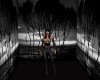 Black Waters BG
