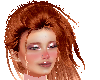 GOLD GINGER 1