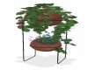 Plants w/ Stand 6