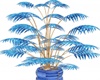 planta  azul