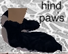 black hind paws