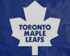 TorontoMapleLeafs Banner
