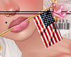 USA PATRIOTIC FLAG