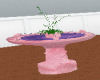 Pink Water Fountain