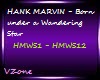 HANK MARVIN-Wand Star