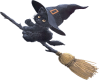Cat Broom