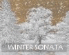 Winter Sonata 