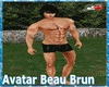|AM| Avatar Beau Brun