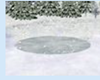 W round rink W