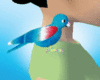 [Nal] Blue Parakeet