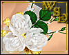 3 White Roses Brooch L
