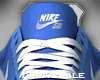 Jj_Nike_SB_V_Rod_Blue