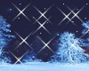 Winter Night