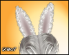 D- White Rabbit Ears