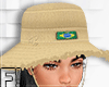 Brazil Hat V1