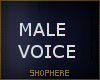 Male voice