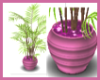 Purple Potted Palm