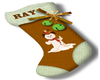 RAY Stocking