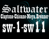 SaltWater -song