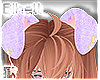 B| Puppy Ears Lilac
