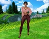 Brown Leather Pants