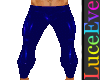 Royal PVC Pants