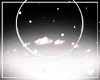 兎. Majo | Eyes