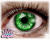 ShineShimmer Eyes Green