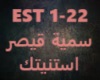Somaya Qaisar-Estaneitak