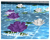 Wisteria Floating Roses