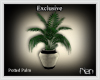 B*Exclusive Potted Palm