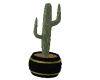 G* Cactus 2