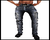 Sexy Zander Jeans