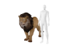 My Pet Lion
