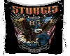 Sturgis banner 2025