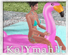 KYH |Float flamingo