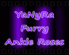IYIAnkle Roses