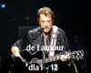 johnny hallyday