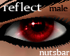 (n) reflect wine red