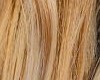 Blonde Hair