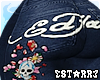 Hardy jeans Navy