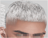 White Haircut