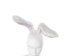 BUNNY EARS