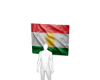 Kurdish flag